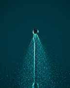 rechargeable-electric-garden-sprayer