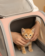 outdoor-pet-travel-carrier-for-cats-dogs
